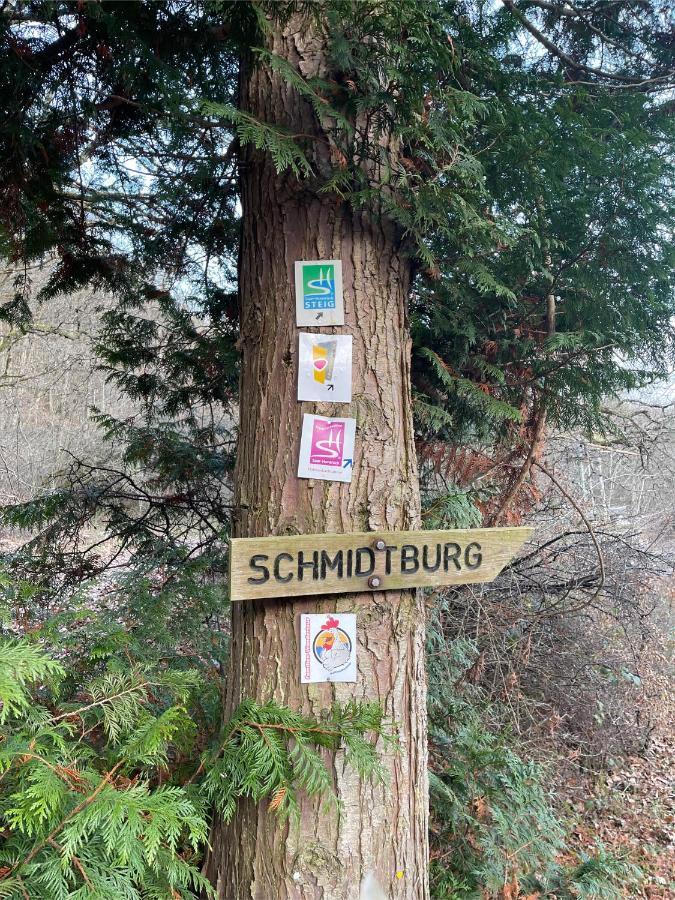 Am Apfelbaum, Ein Ferienhaus Zwischen Rhein Und Mosel Kastellaun Exterior foto
